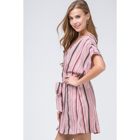 entro Striped Shirtdress, Pink - Picture 2 of 6